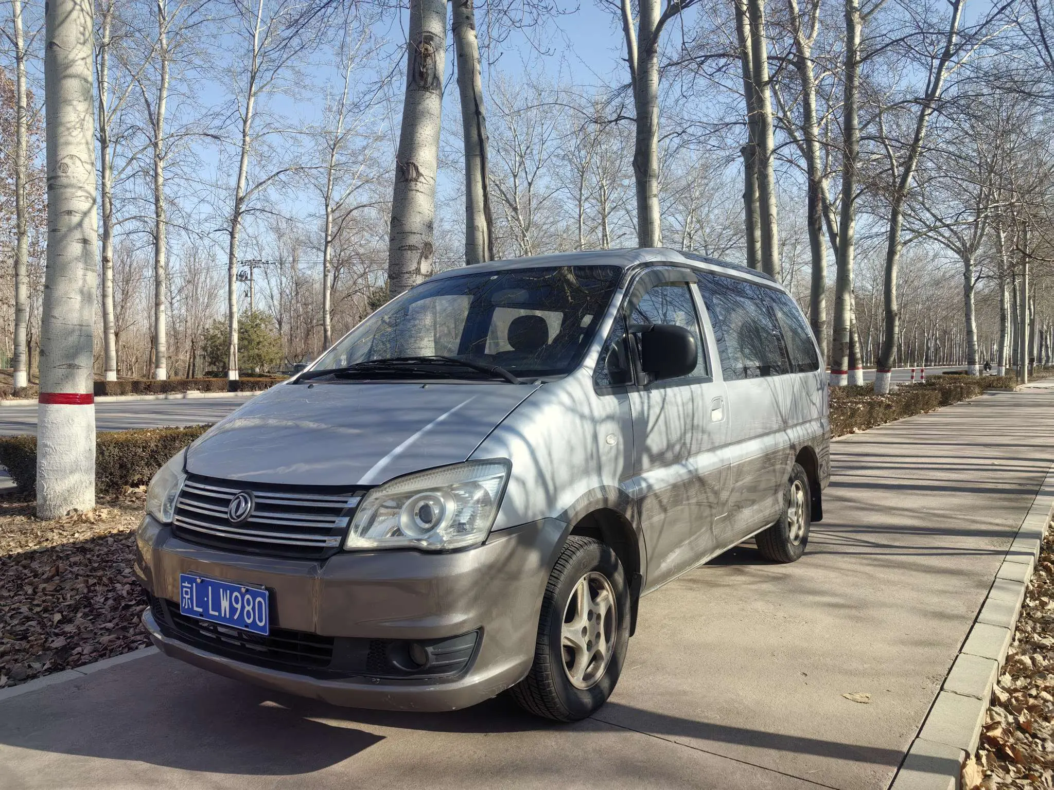 Forthing Lingzhi  из Китая