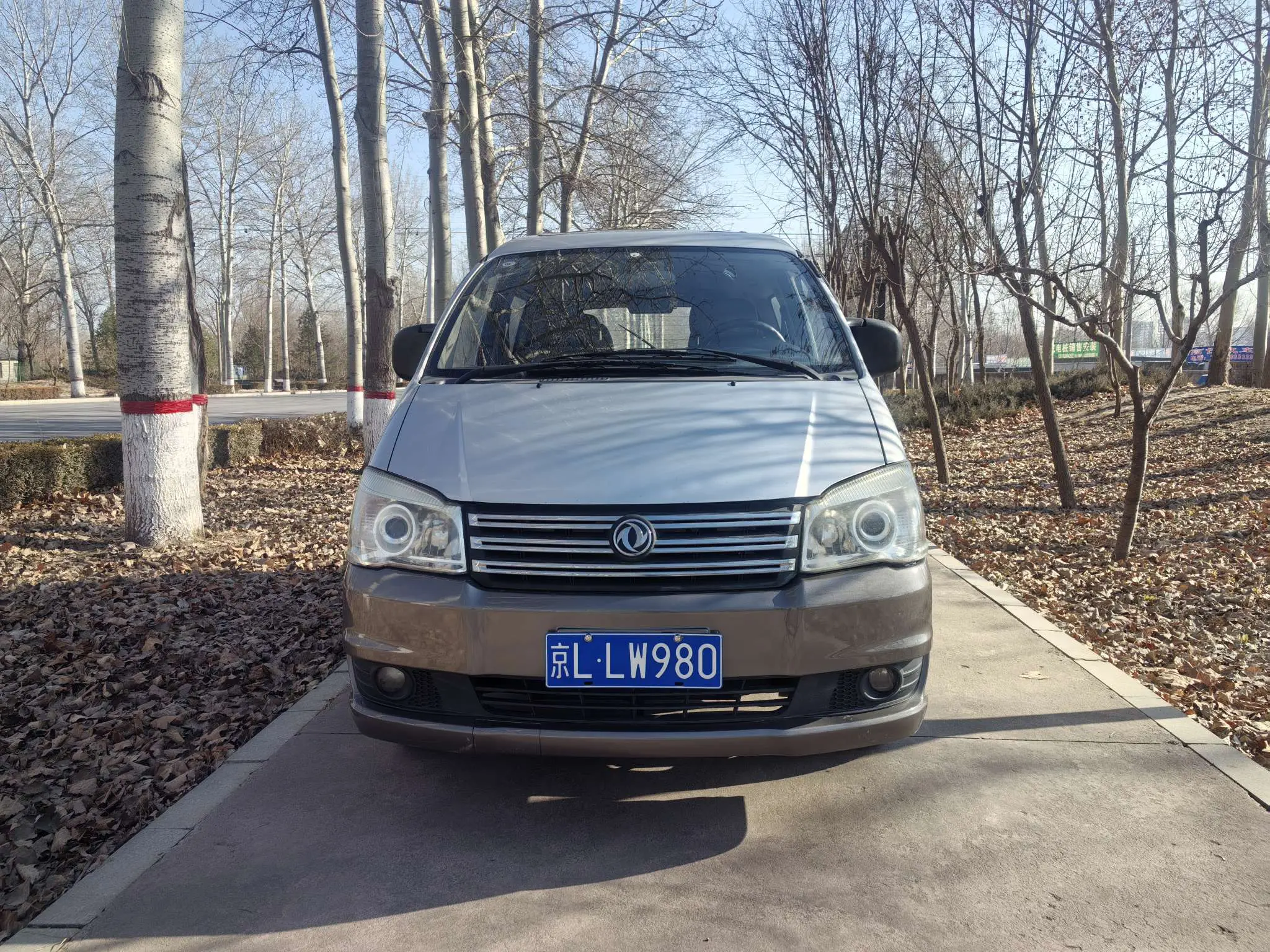 Forthing Lingzhi  из Китая