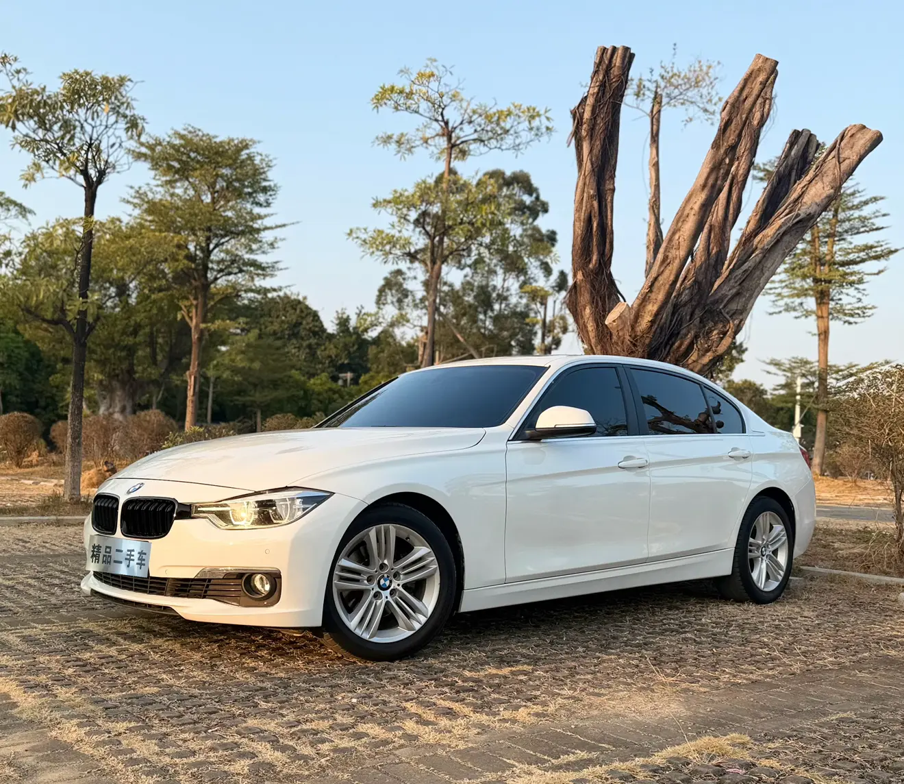 BMW 3 Series  из Китая