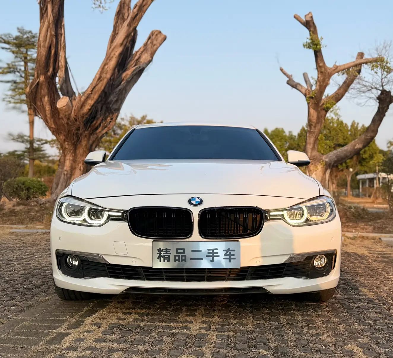 BMW 3 Series  из Китая