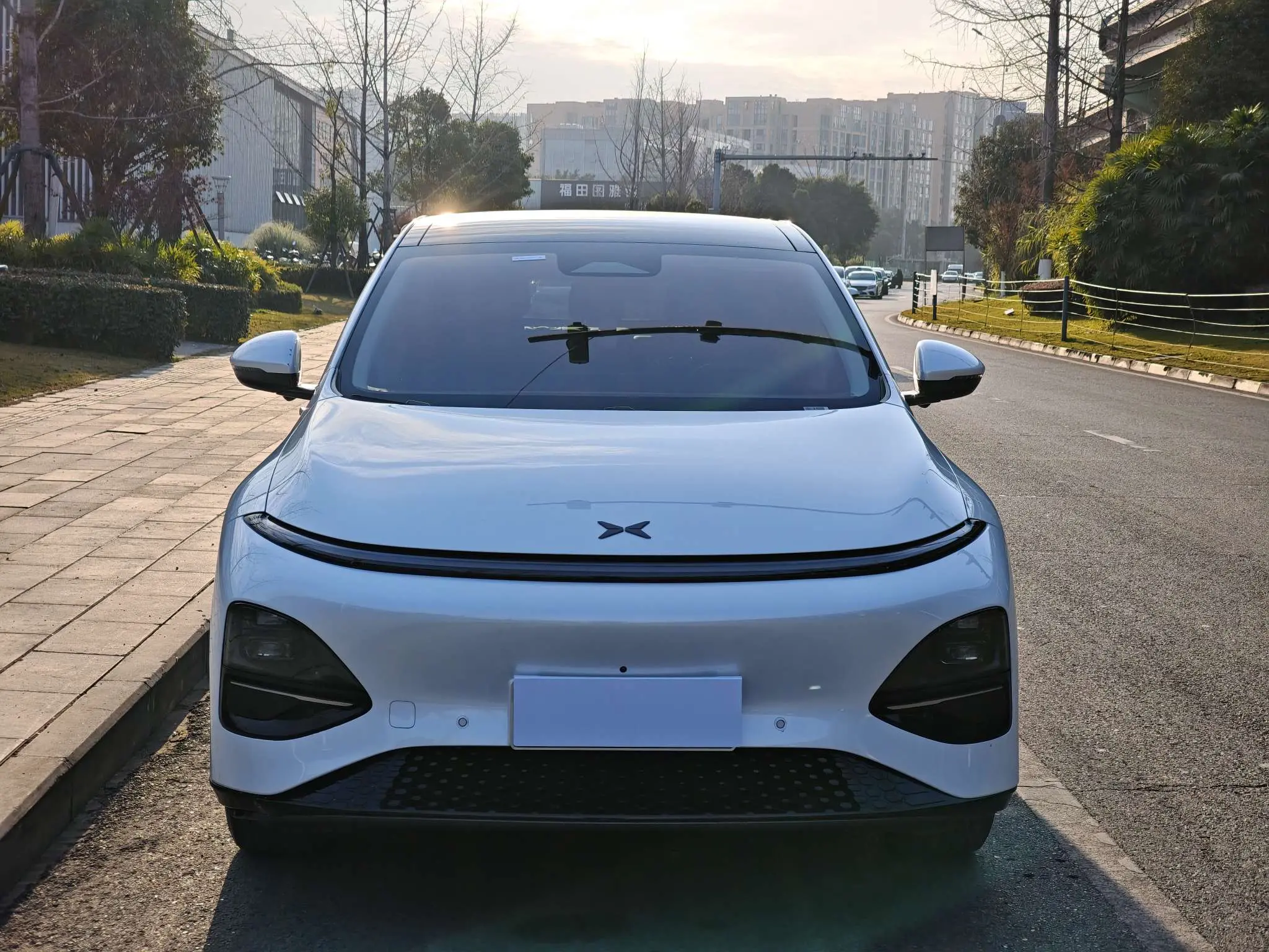 Xpeng G6  из Китая