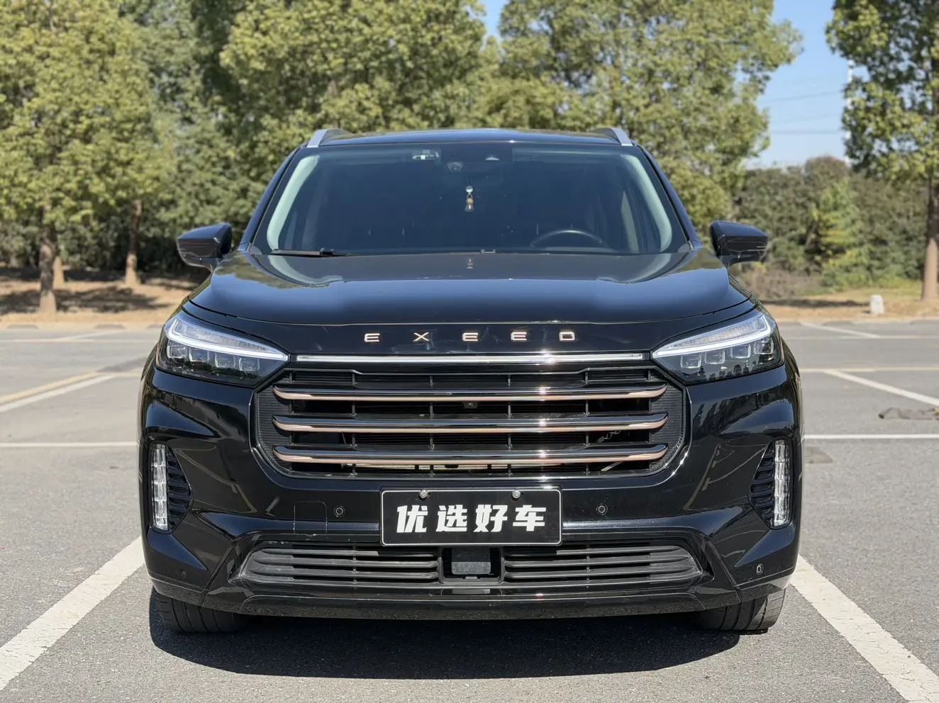 Exeed VX (The starry road embraces the moon)  из Китая