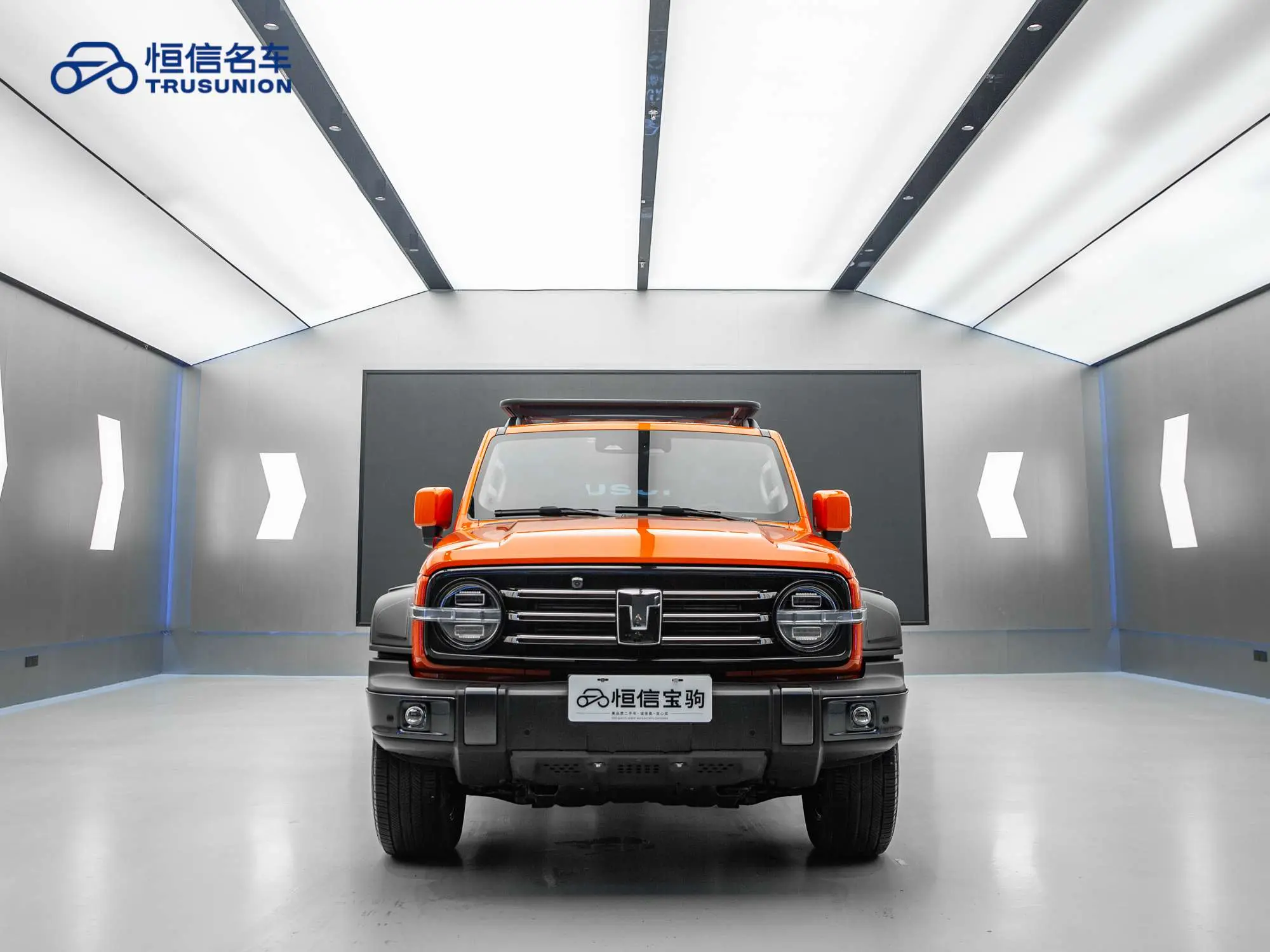 Tank 300  из Китая