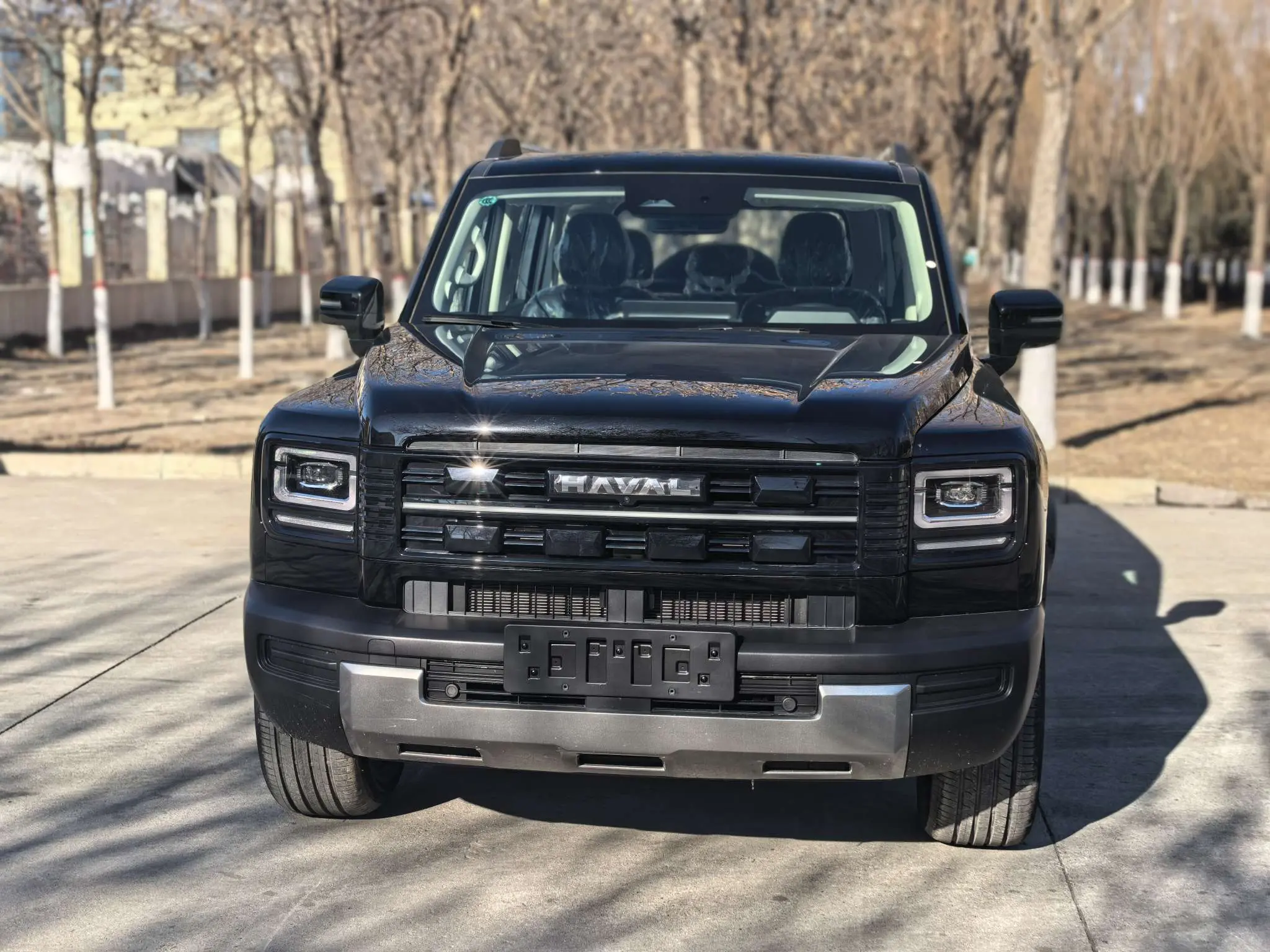 Haval Raptors PHEV  из Китая