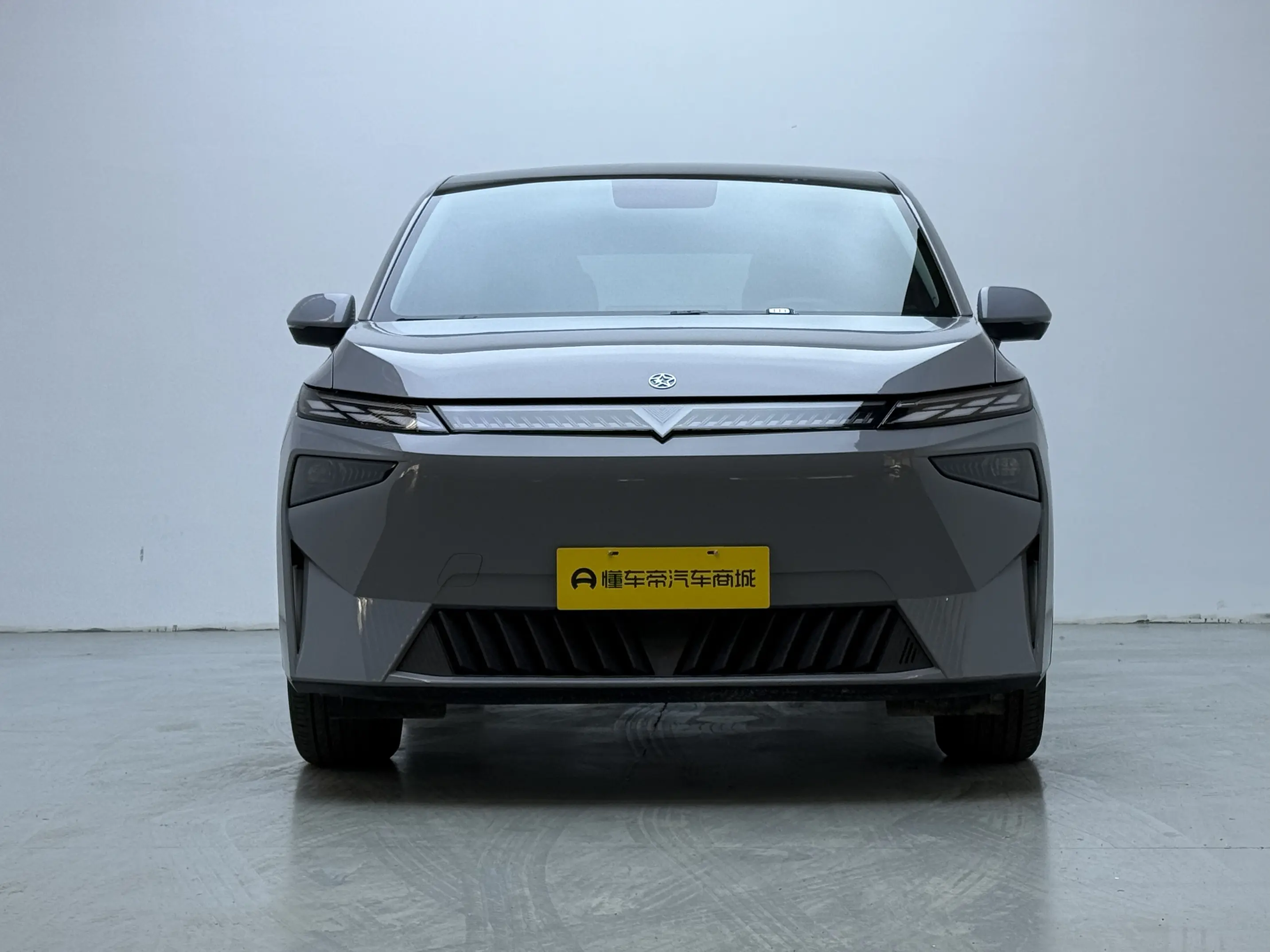 Kai Chen Venucia VX6  из Китая