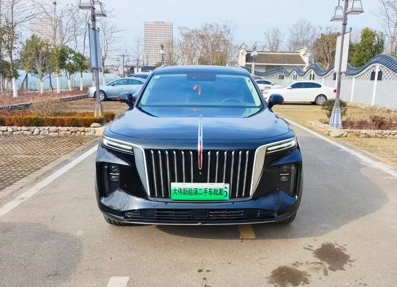 Hongqi E-HS9  из Китая