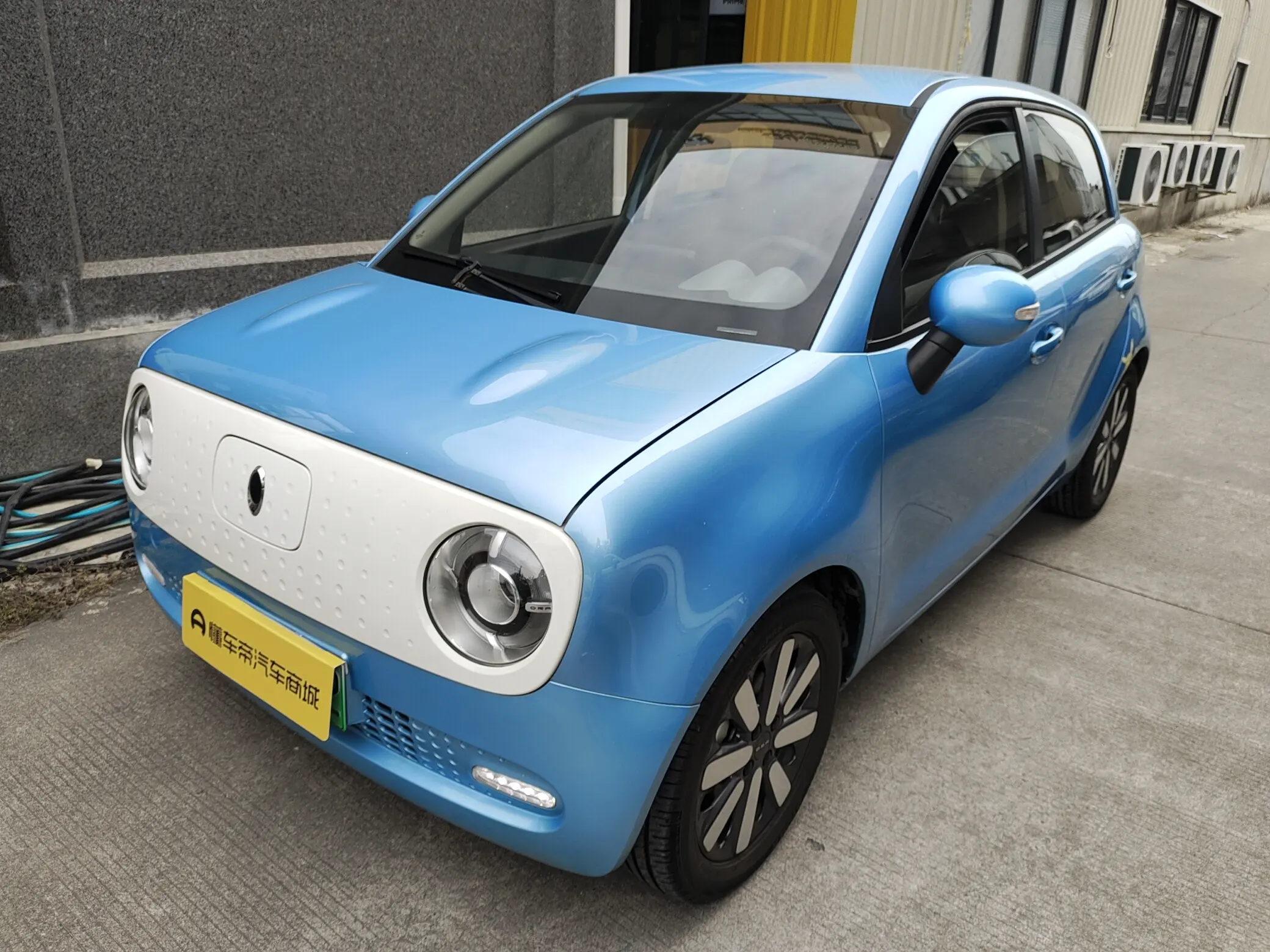 ORA Euler black cat  из Китая