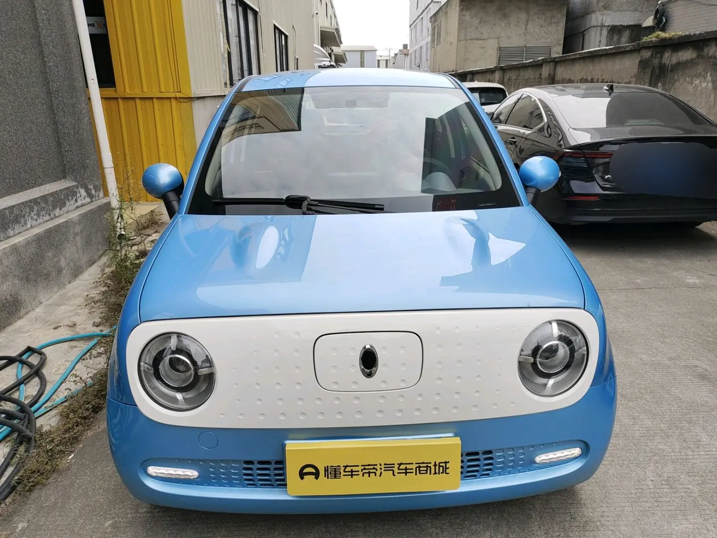 ORA Euler black cat  из Китая