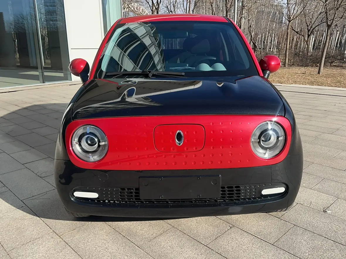 ORA Euler black cat  из Китая