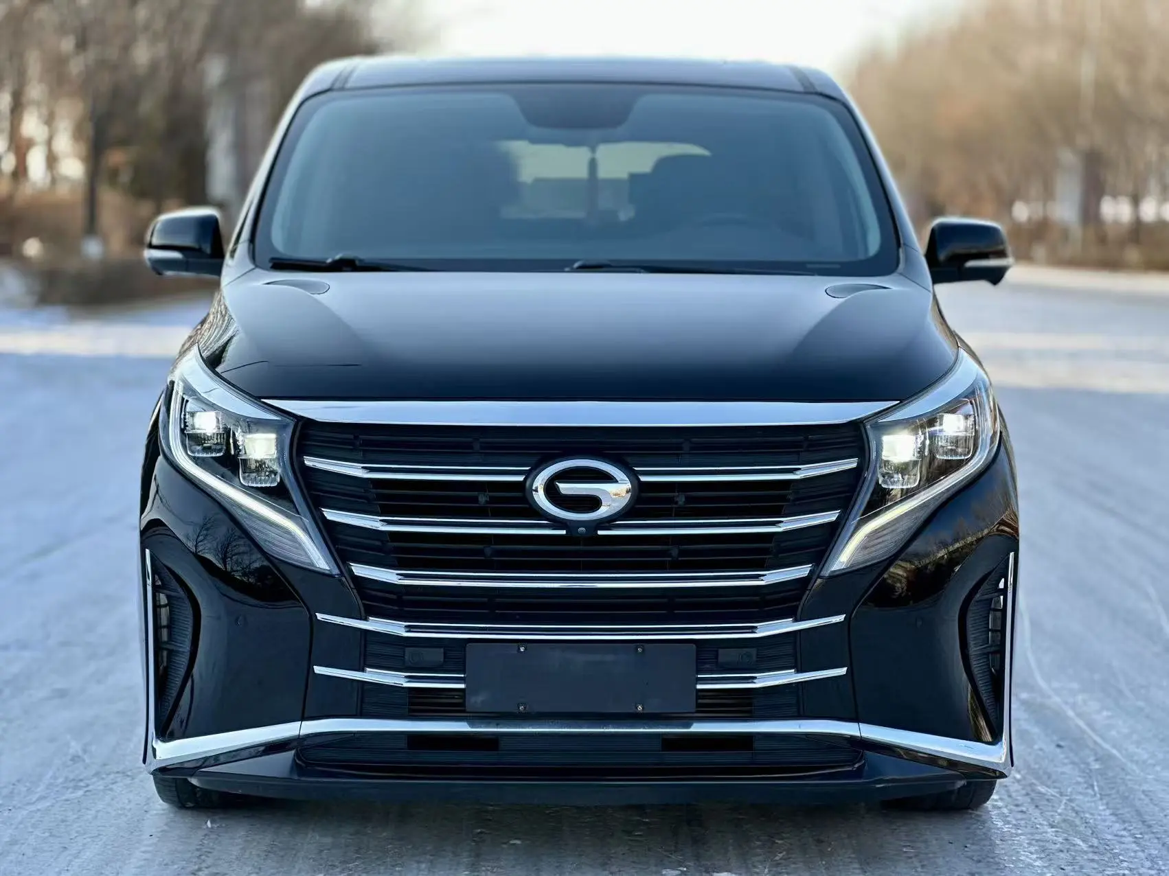 GAC Trumpchi M8  из Китая