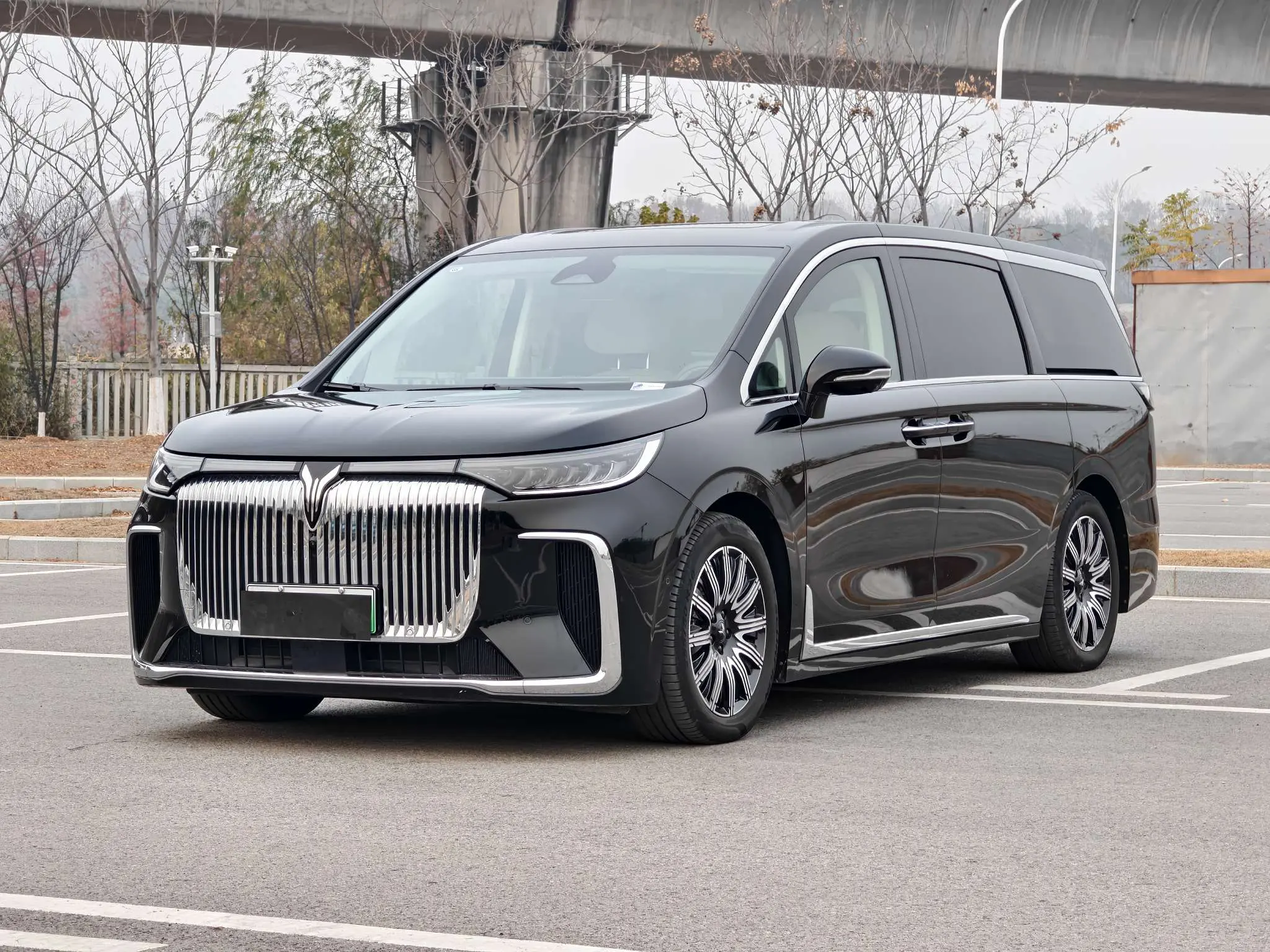 Voyah Lantu Dreamer EV  из Китая