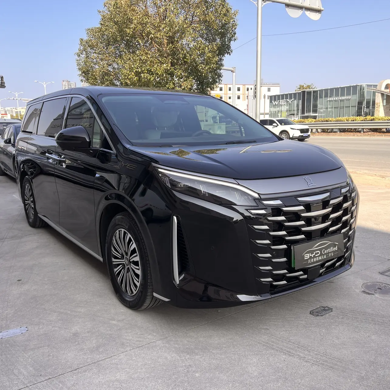 BYD Summer  из Китая