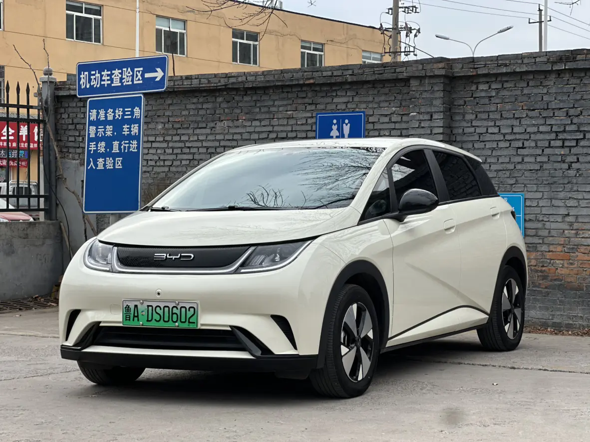 BYD Dolphin  из Китая