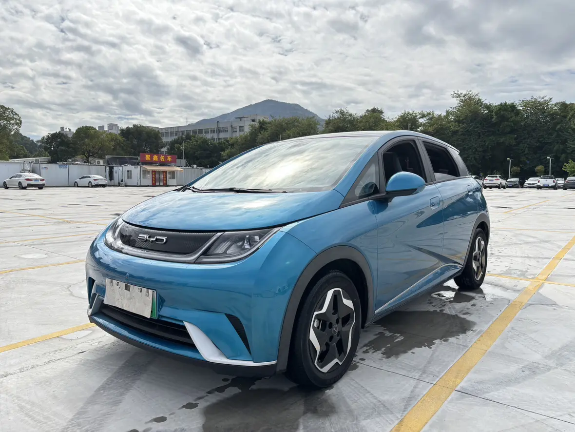 BYD Dolphin  из Китая
