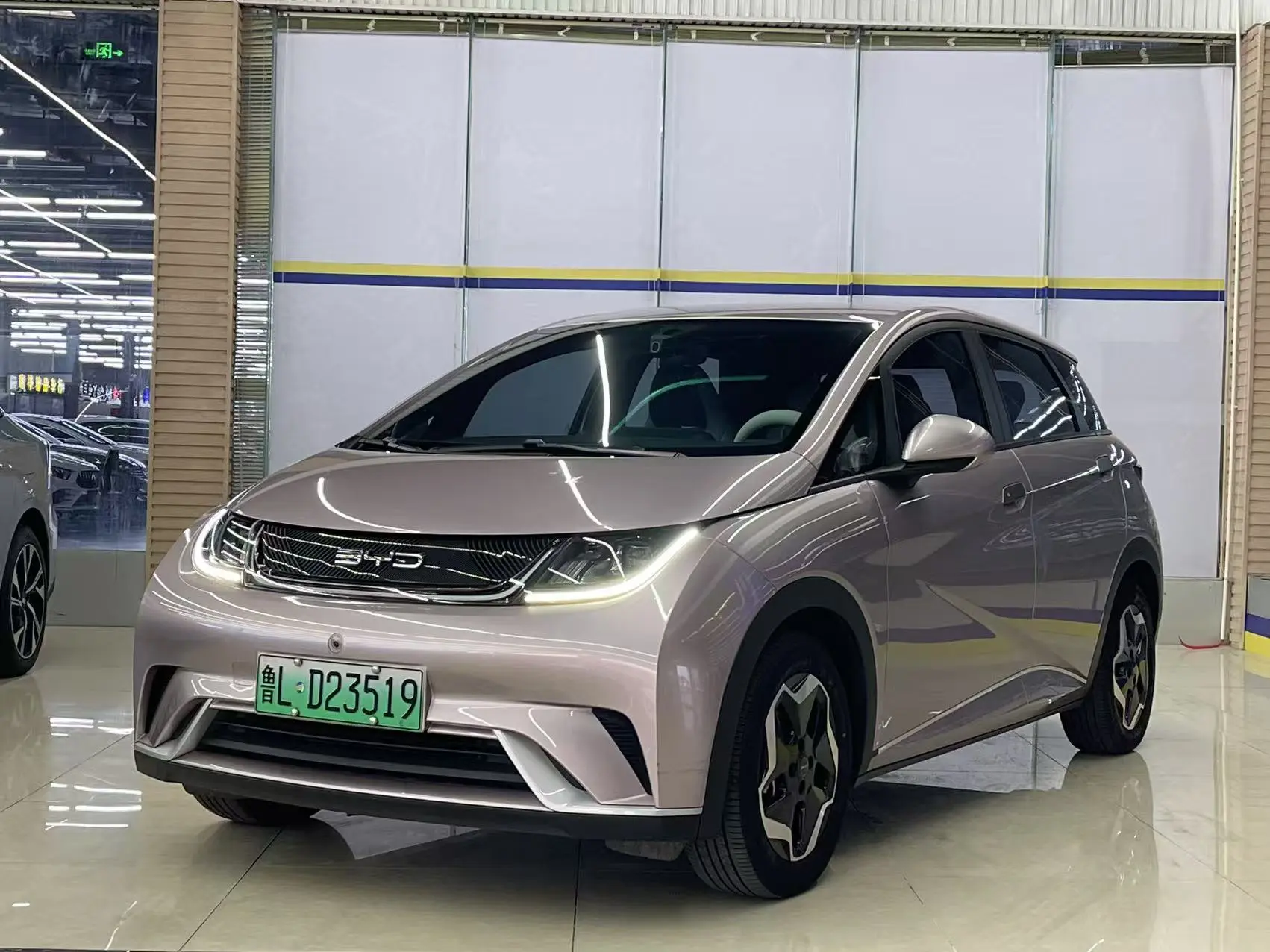 BYD Dolphin  из Китая