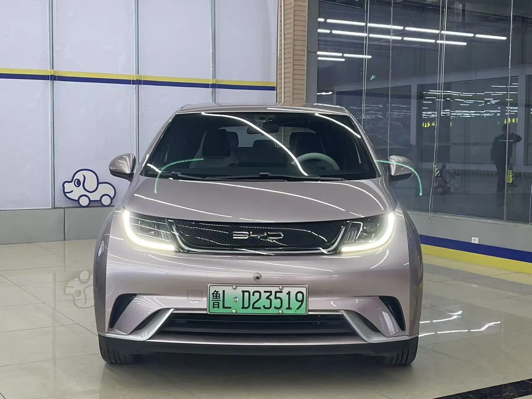 BYD Dolphin  из Китая