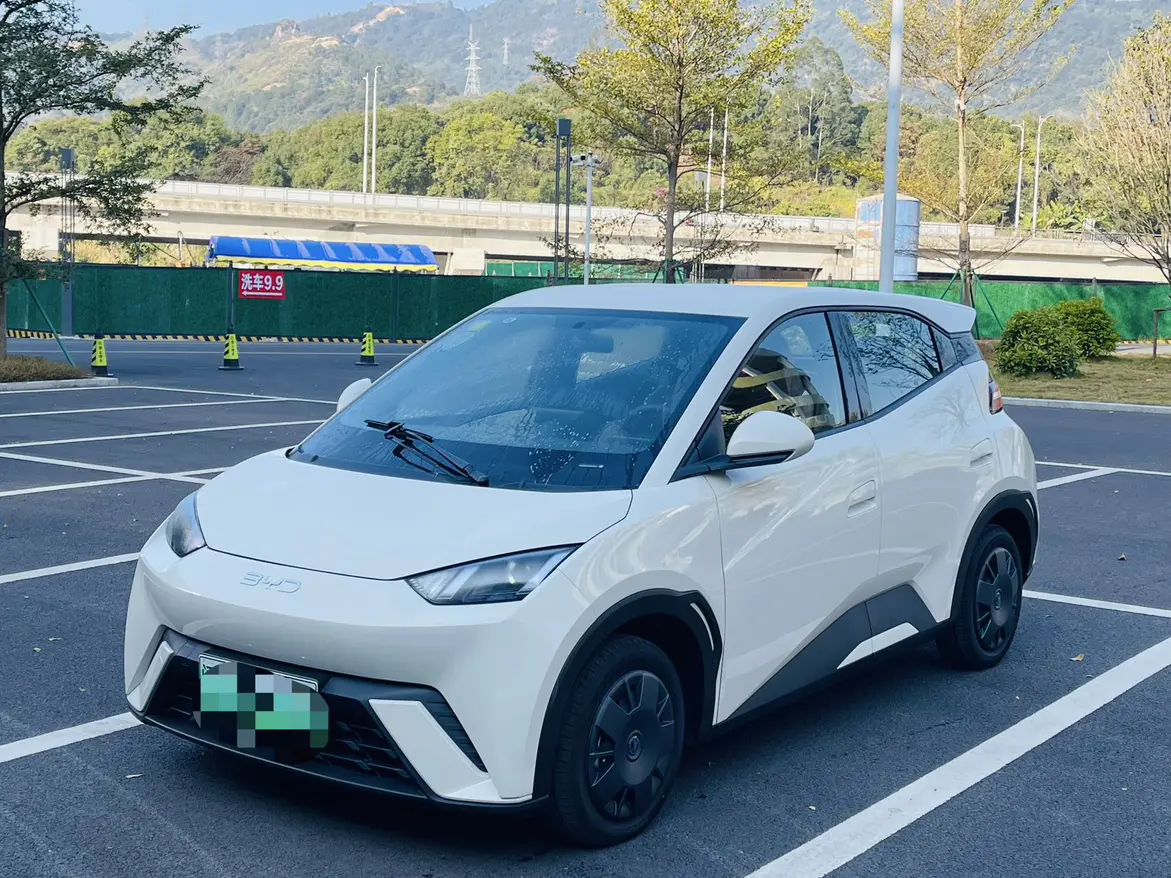 BYD Seagull  из Китая