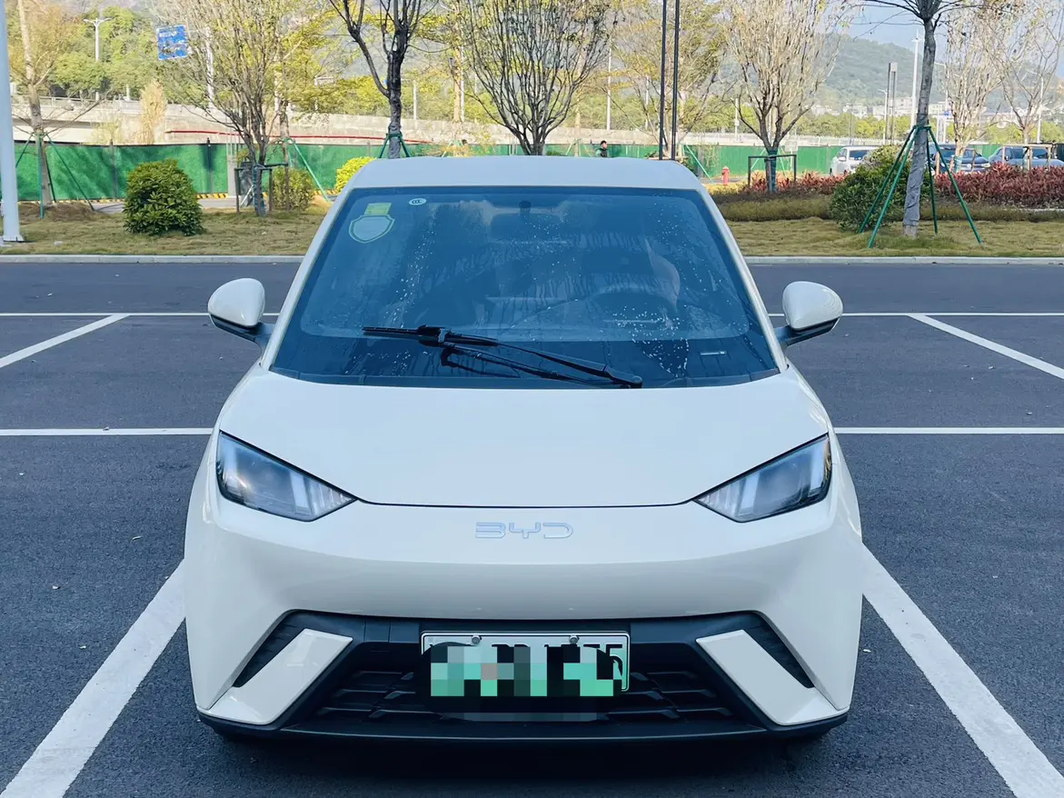 BYD Seagull  из Китая