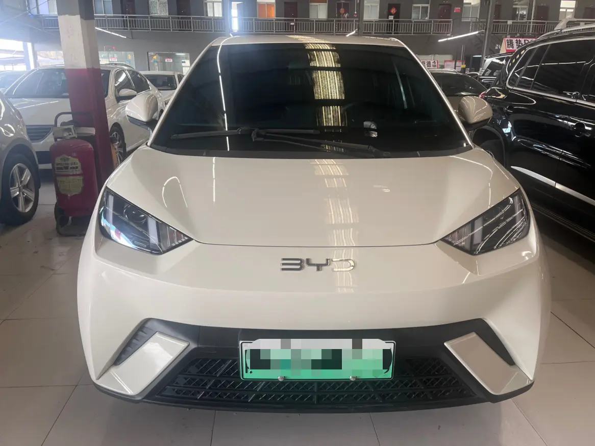BYD Seagull  из Китая
