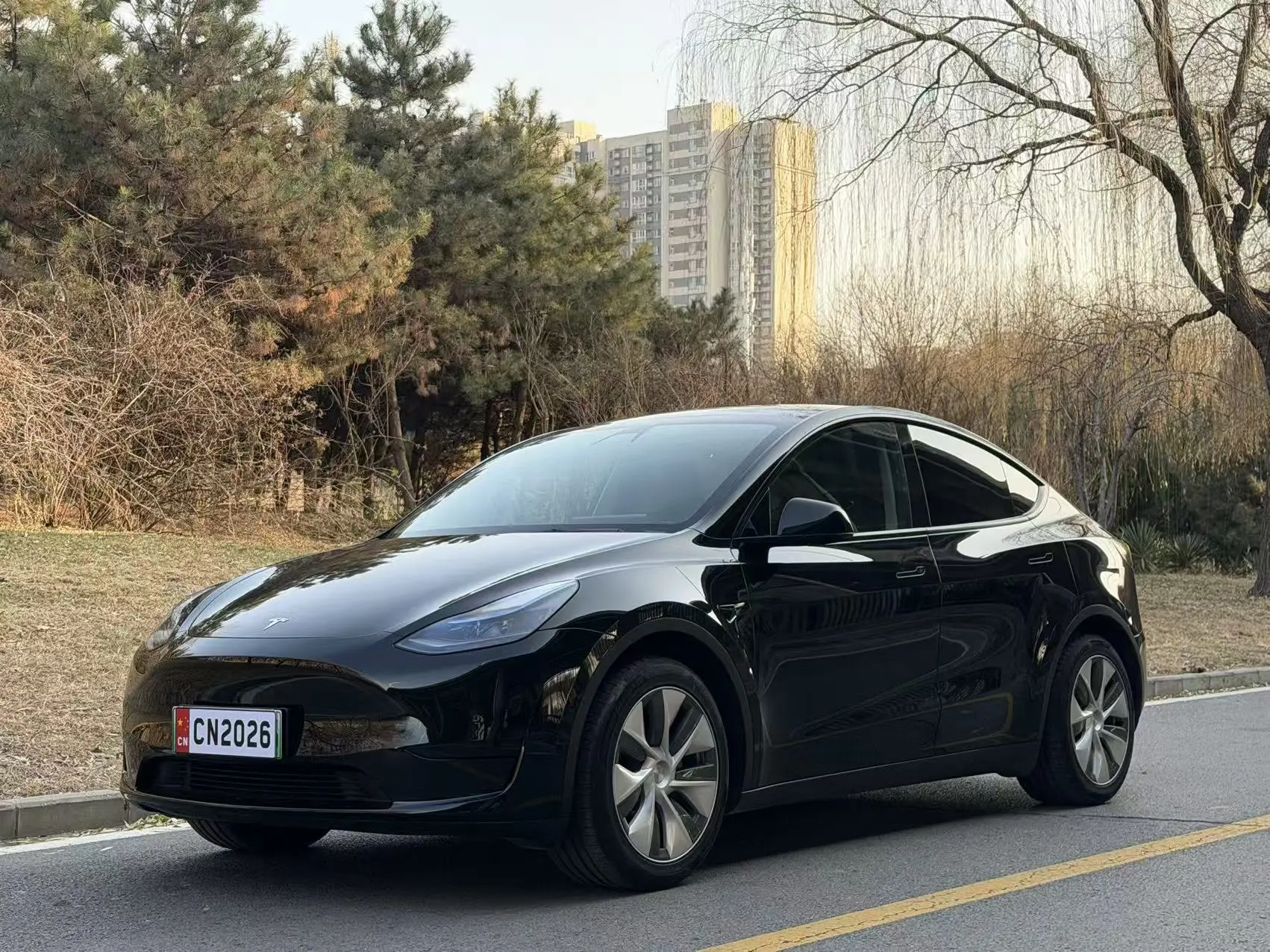Tesla Model Y  из Китая