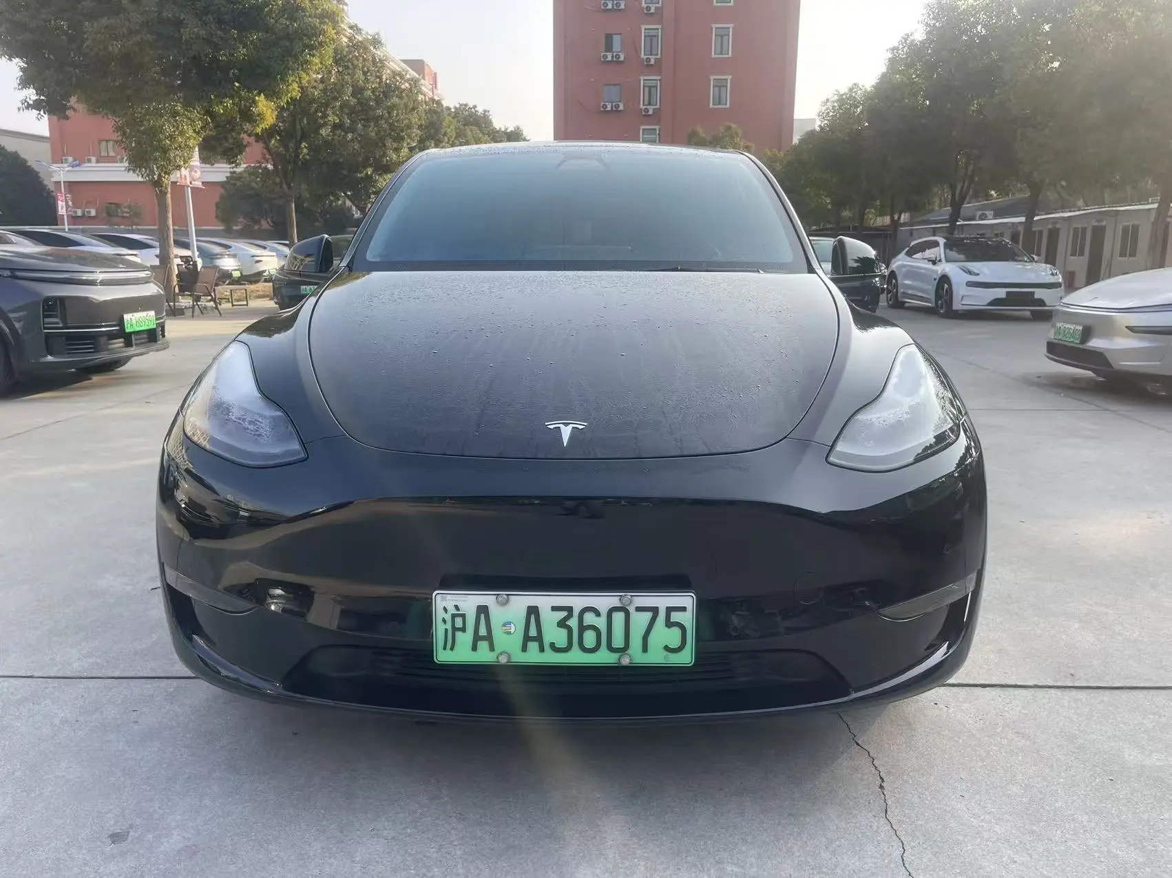 Tesla Model Y  из Китая