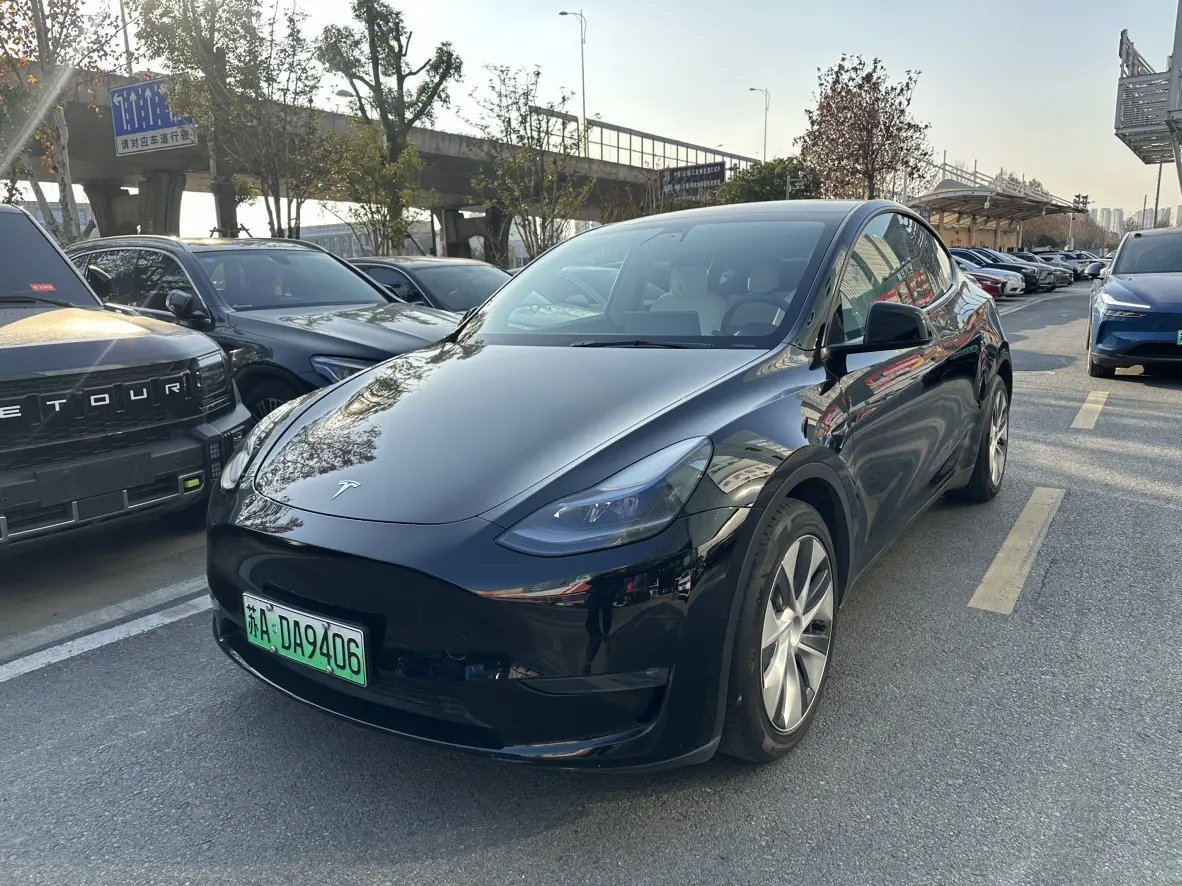 Tesla Model Y  из Китая