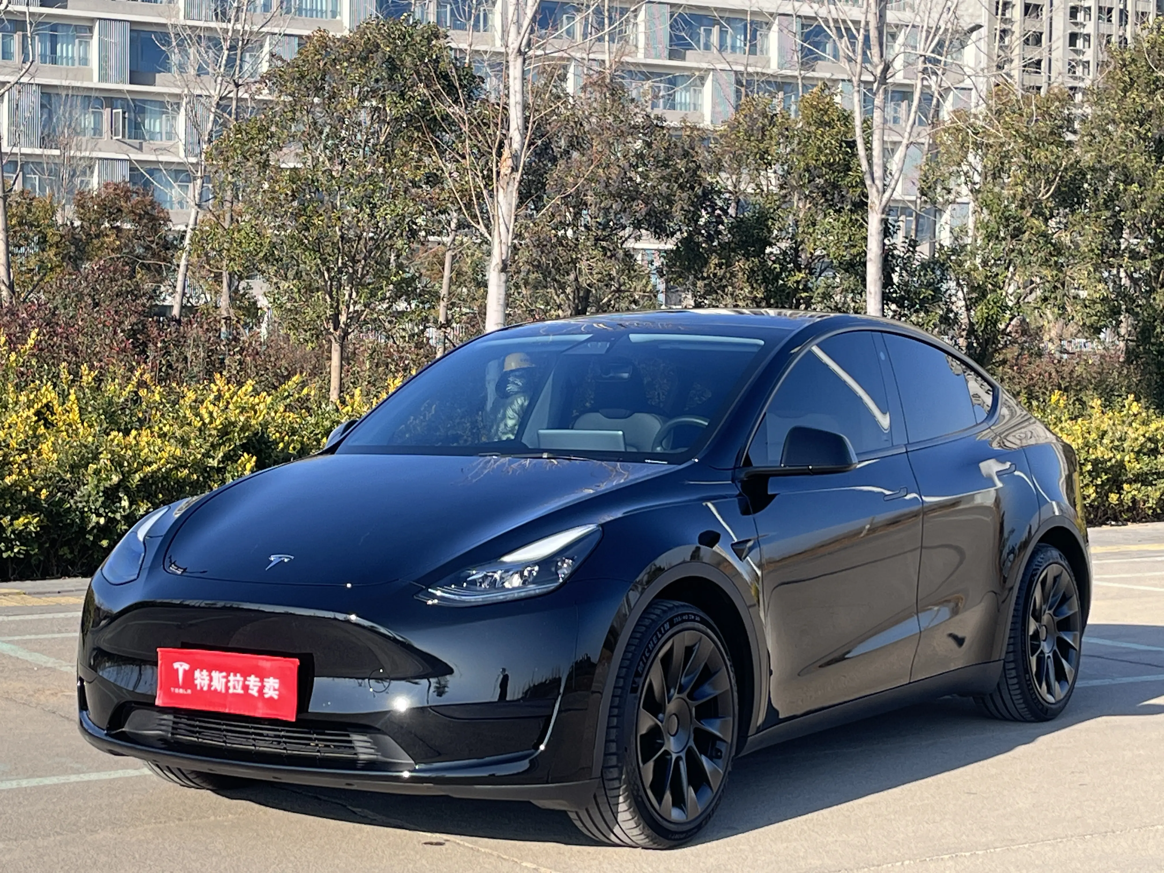 Tesla Model Y  из Китая