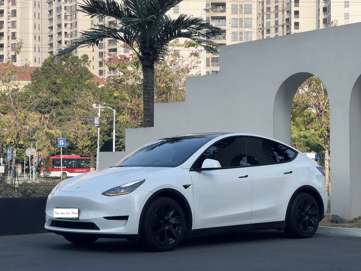 Tesla Model Y  из Китая
