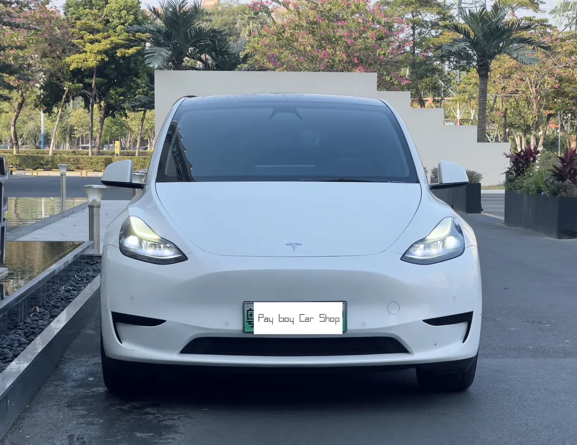 Tesla Model Y  из Китая