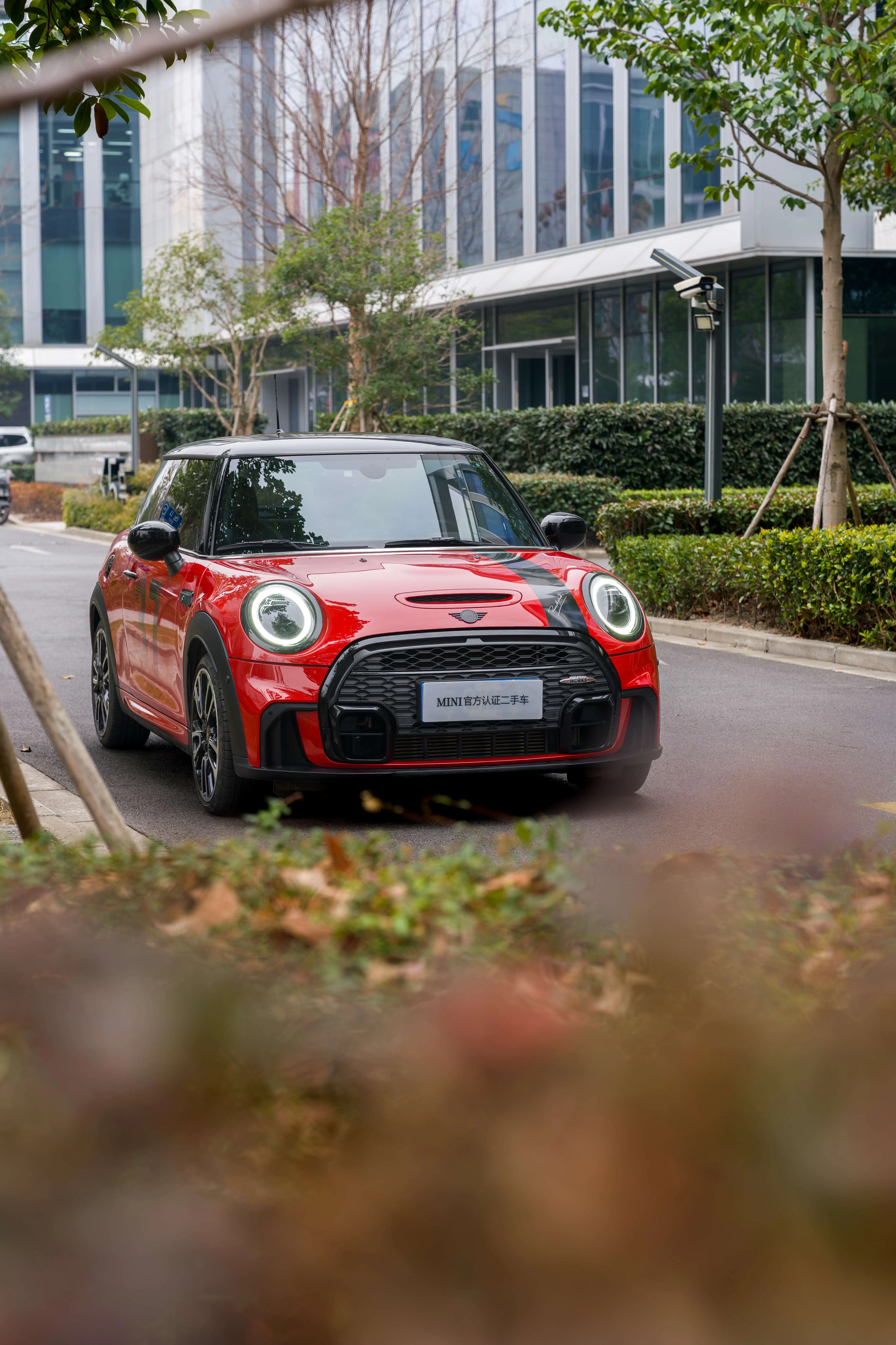 MINI 
