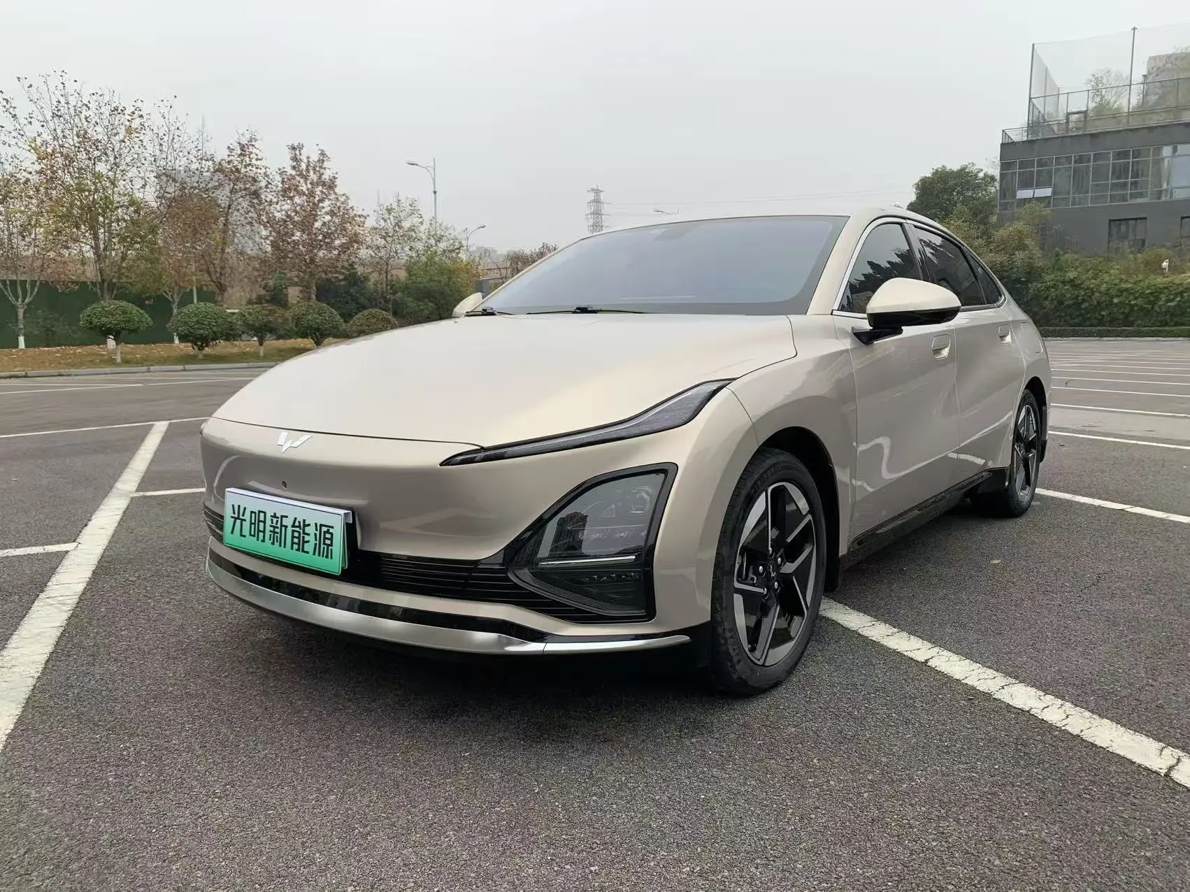 Wuling Starlight EV  из Китая