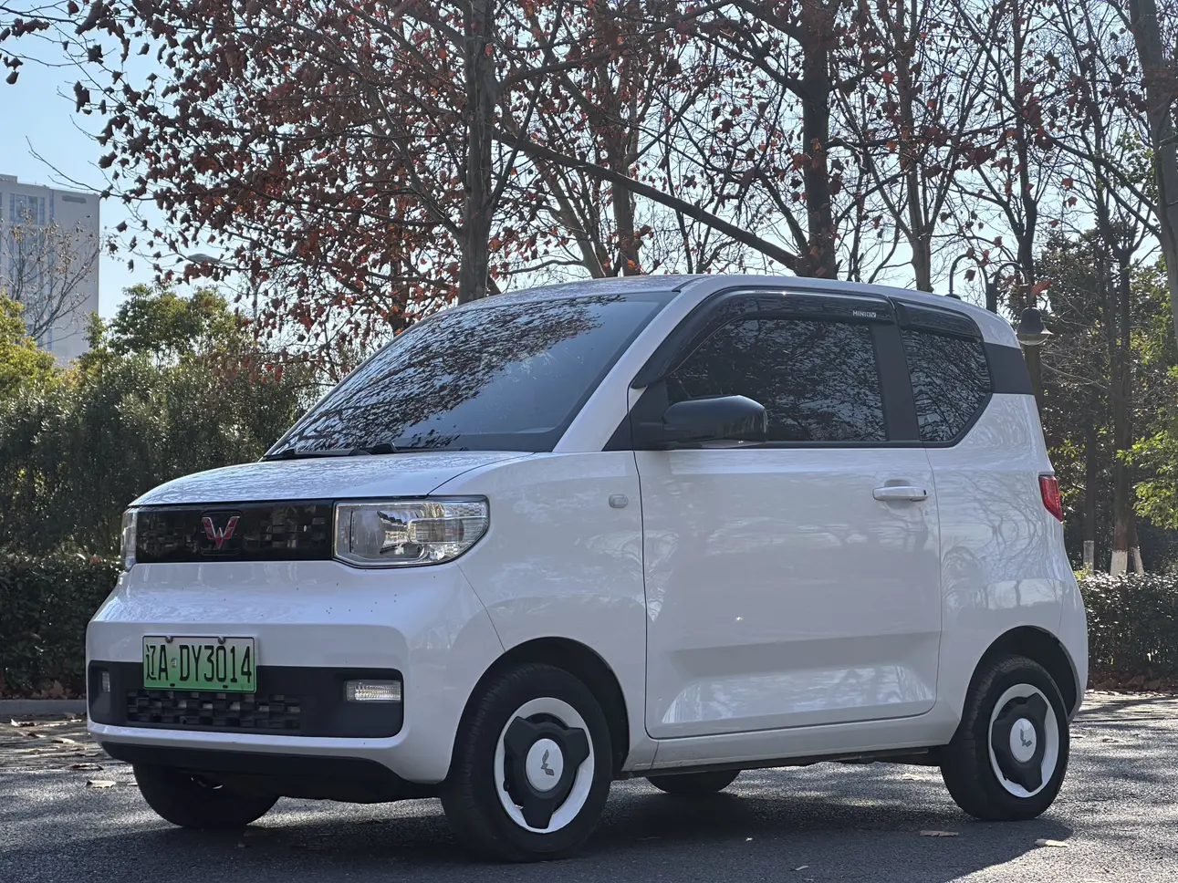 Wuling Hongguang MINIEV  из Китая