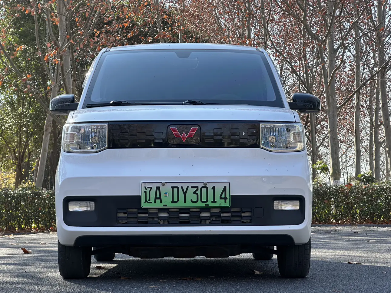 Wuling Hongguang MINIEV  из Китая