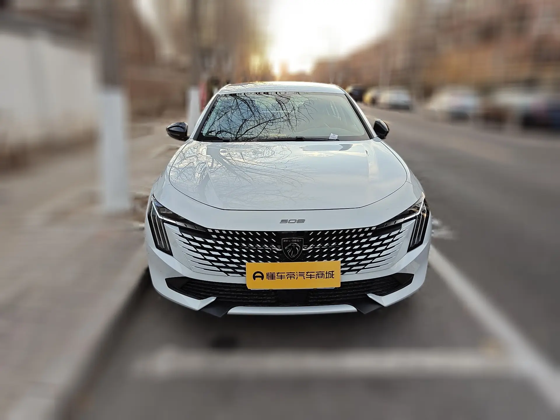 Peugeot 508L  из Китая