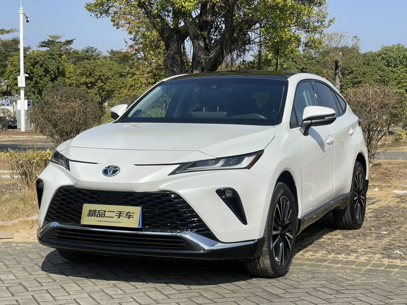 Toyota Venza (Wei Sa)  из Китая