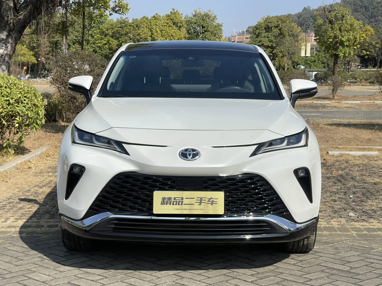 Toyota Venza (Wei Sa)  из Китая