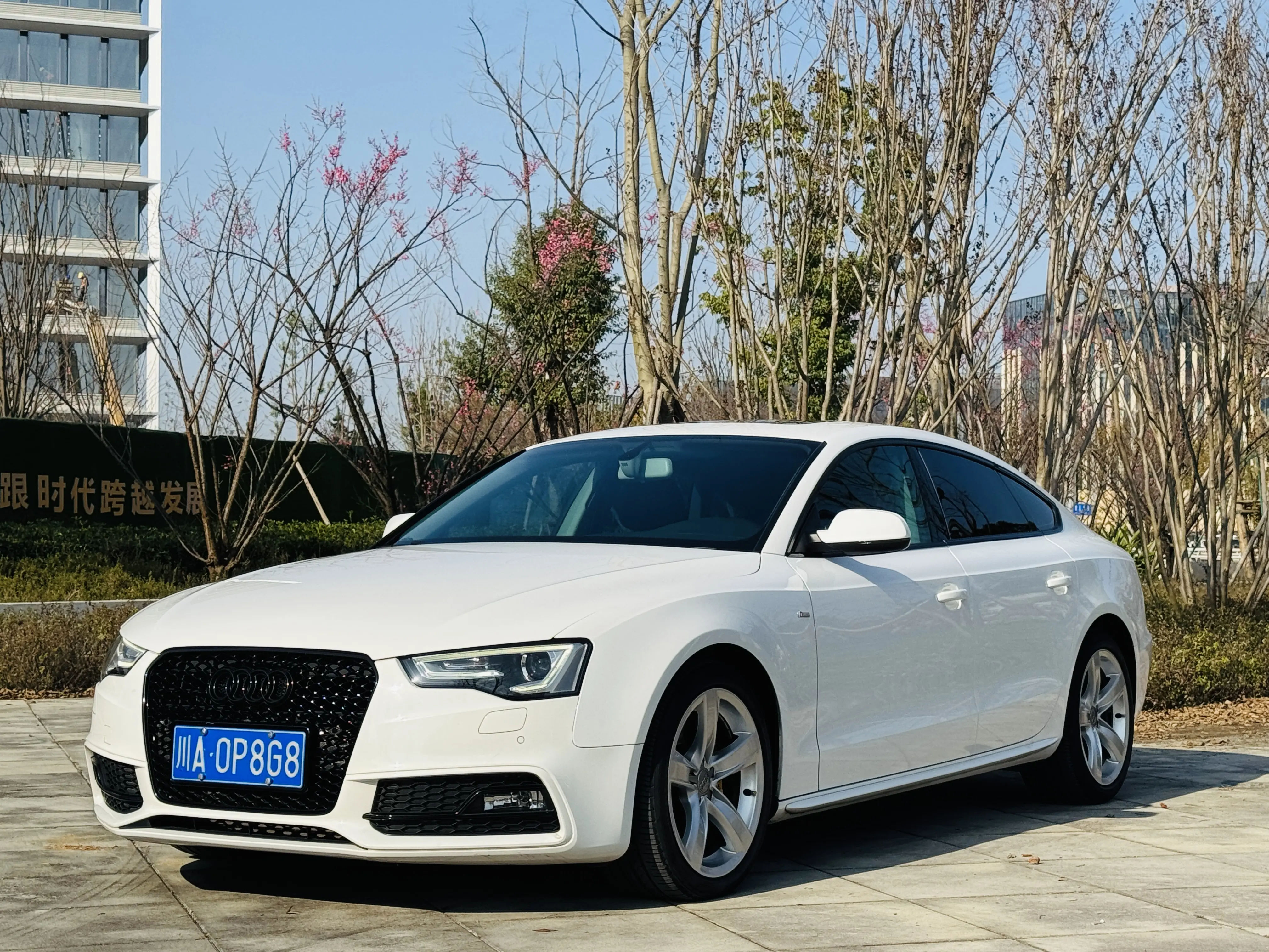 Audi A5  из Китая