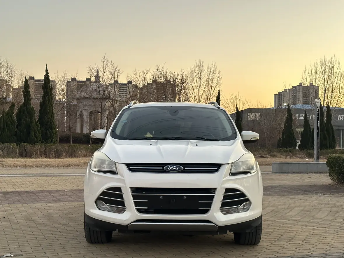 Ford Wing tiger  из Китая