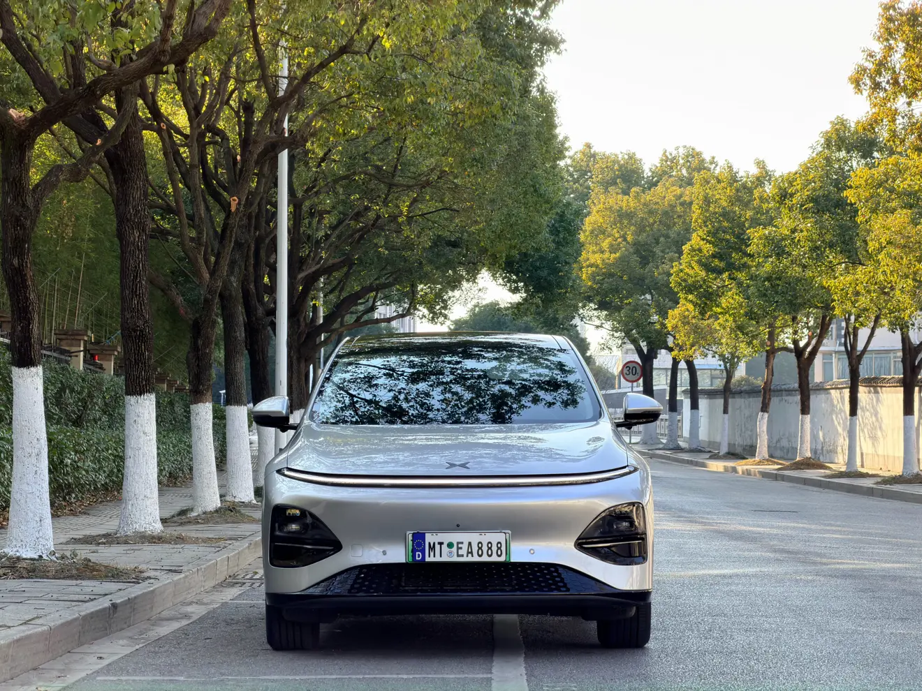 Xpeng G6  из Китая