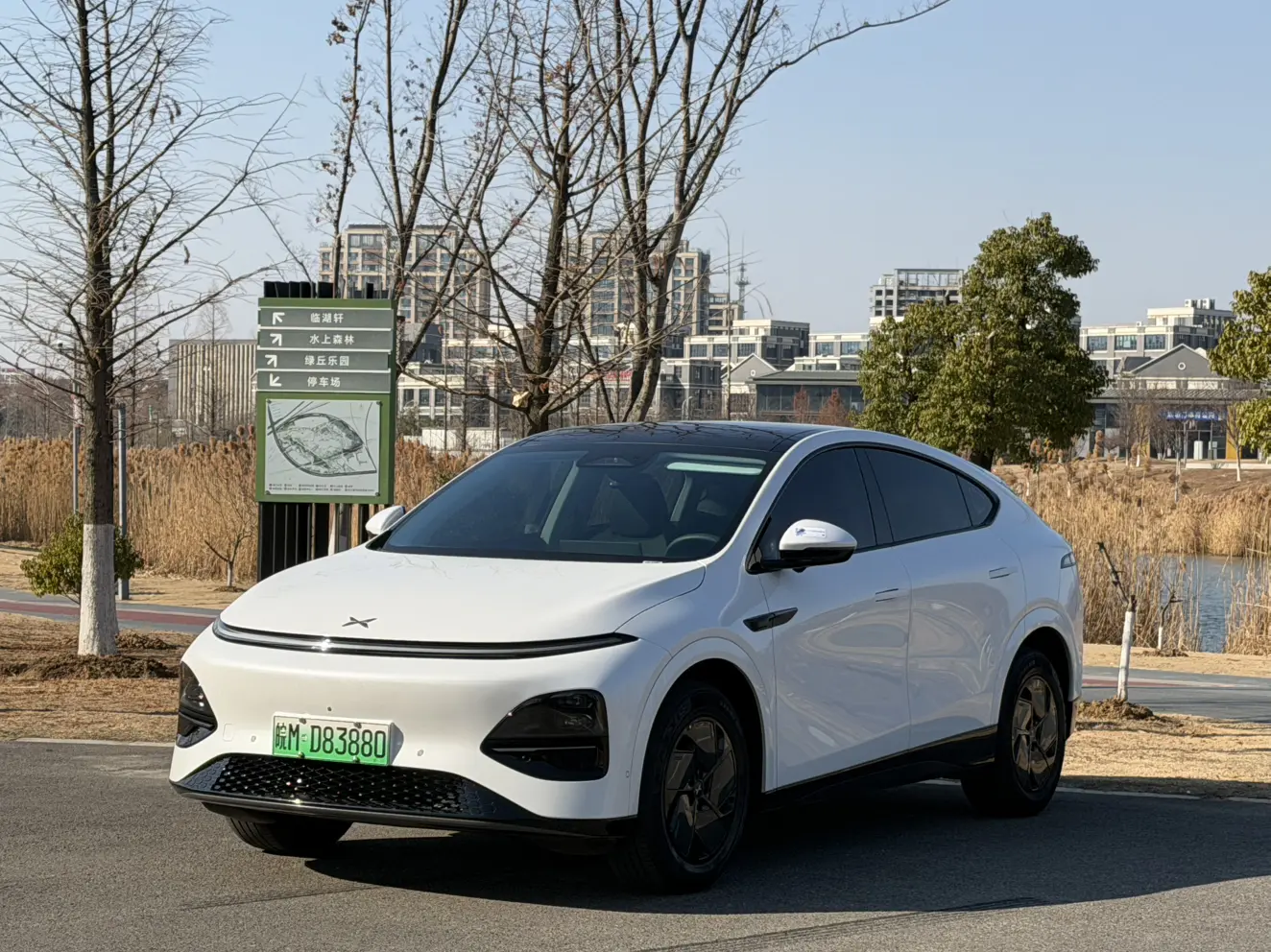 Xpeng G6  из Китая