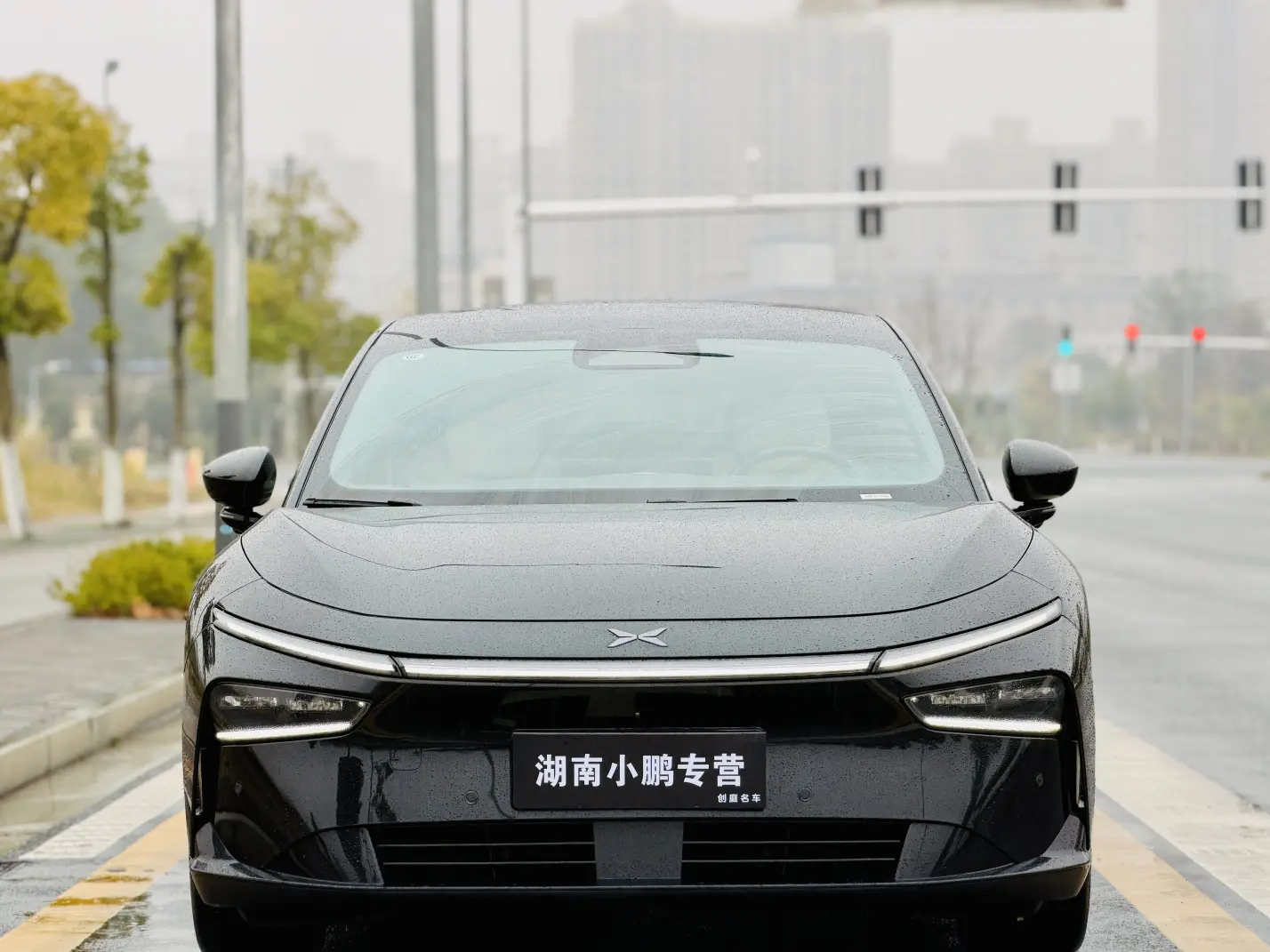 Xpeng P7+  из Китая