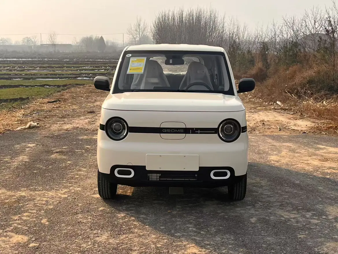 Geely Panda  из Китая