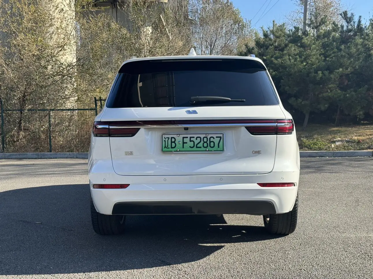 Li ONE (Ideal ONE)  из Китая