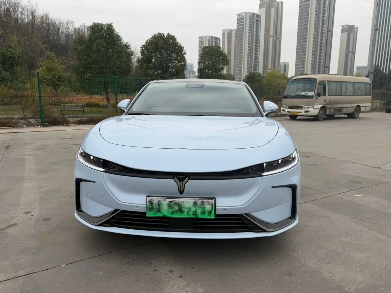 Voyah Passion EV  из Китая