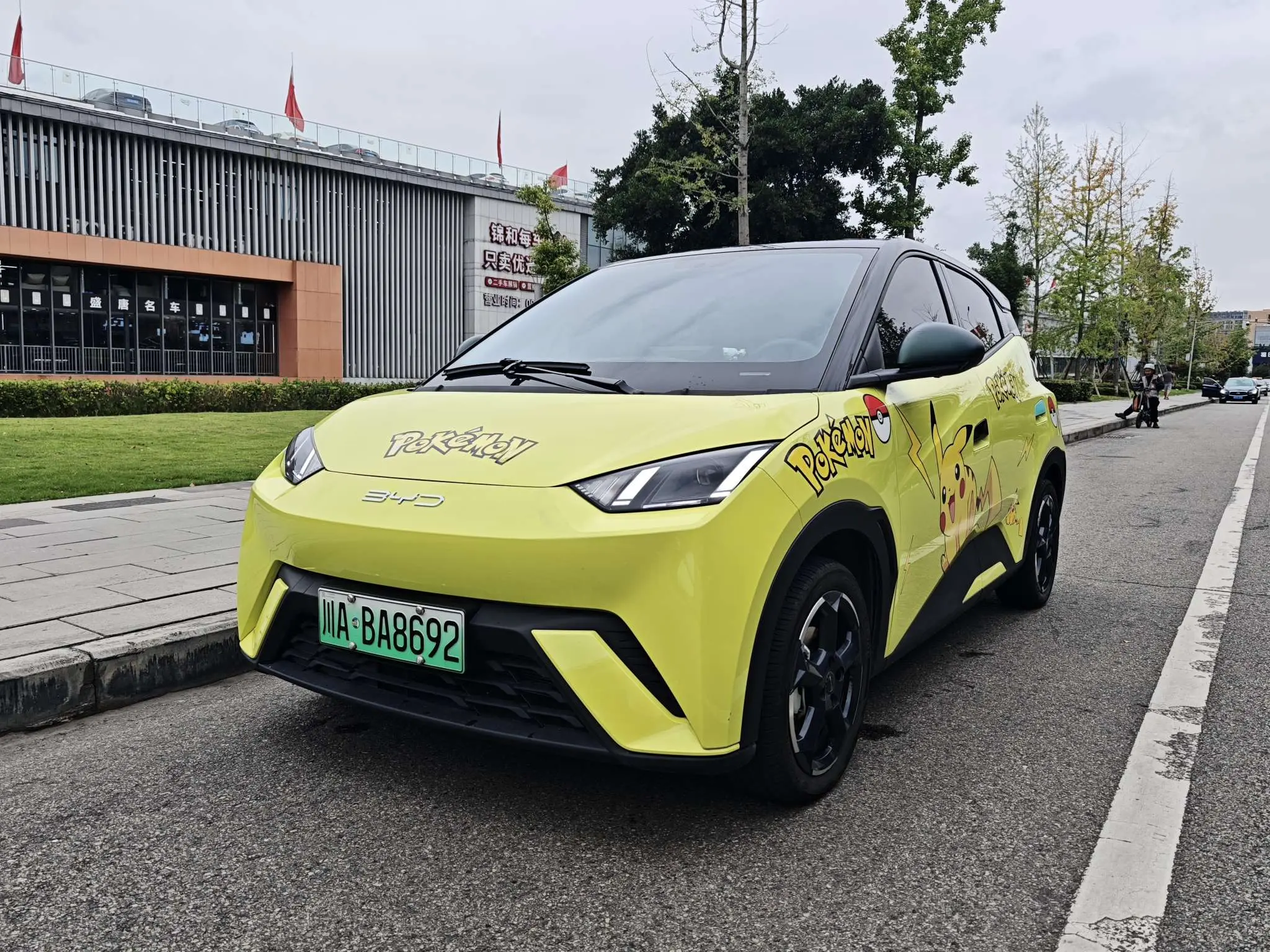 BYD Seagull  из Китая