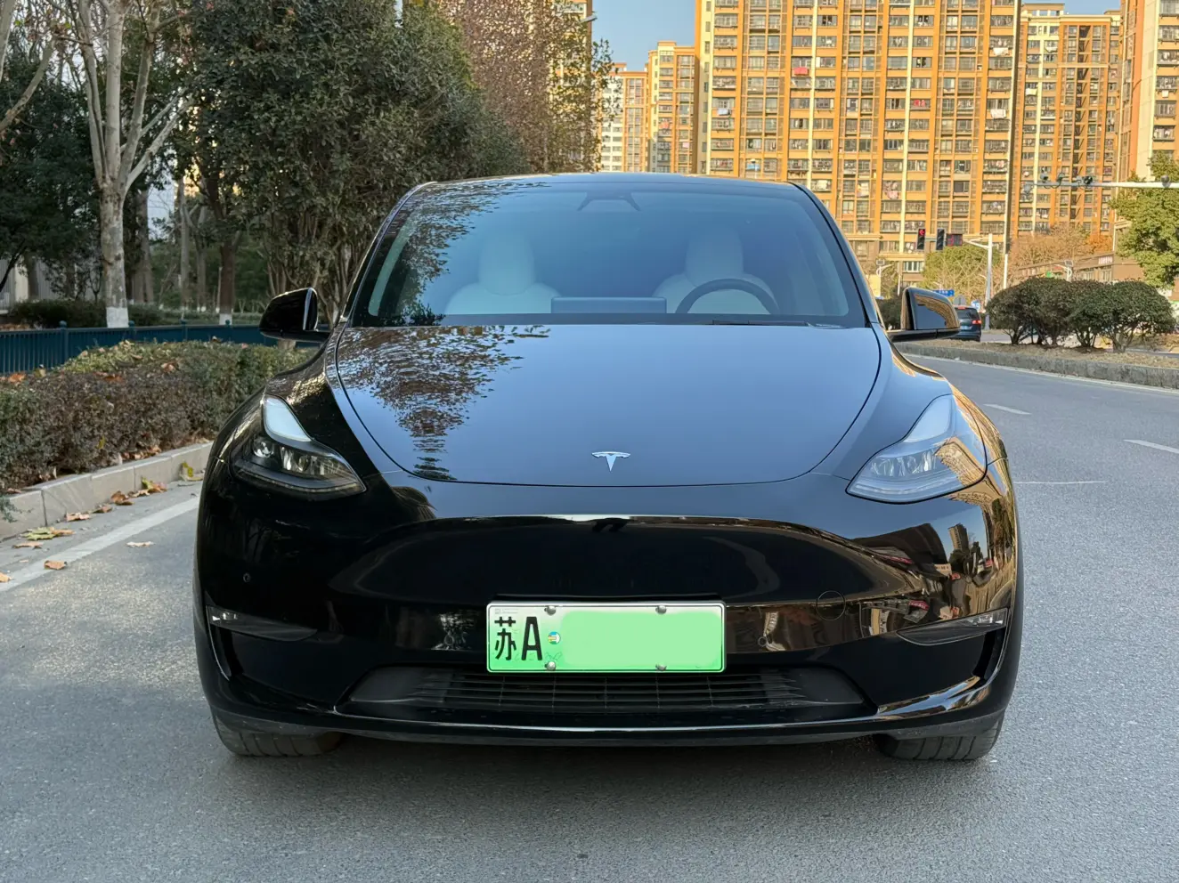 Tesla Model Y  из Китая