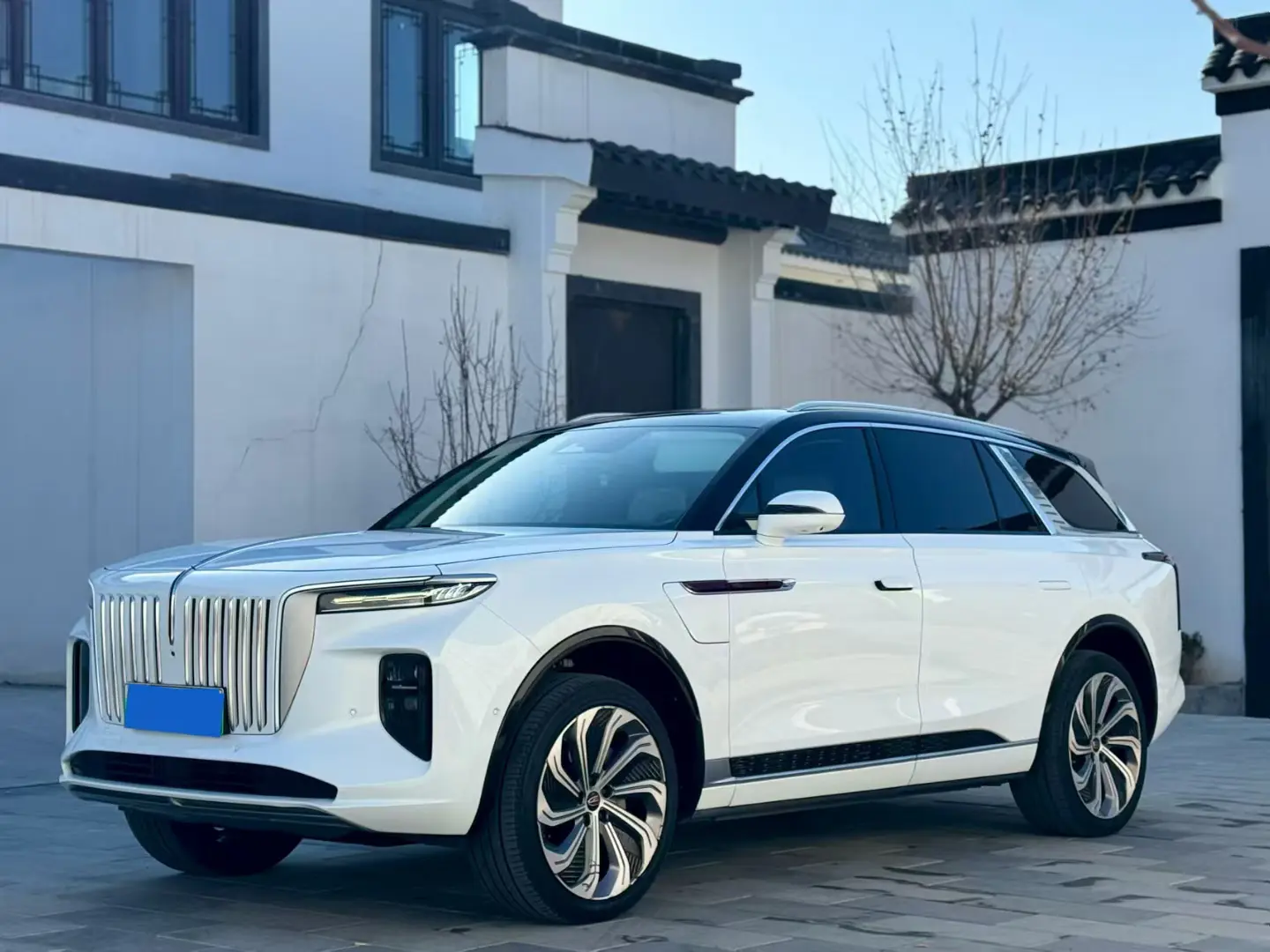 Hongqi E-HS9  из Китая