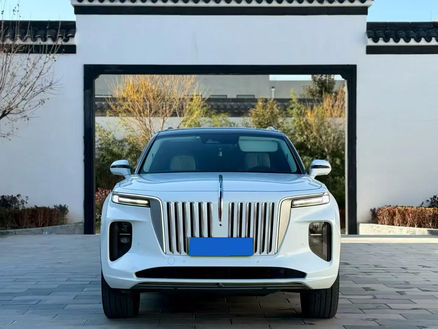 Hongqi E-HS9  из Китая