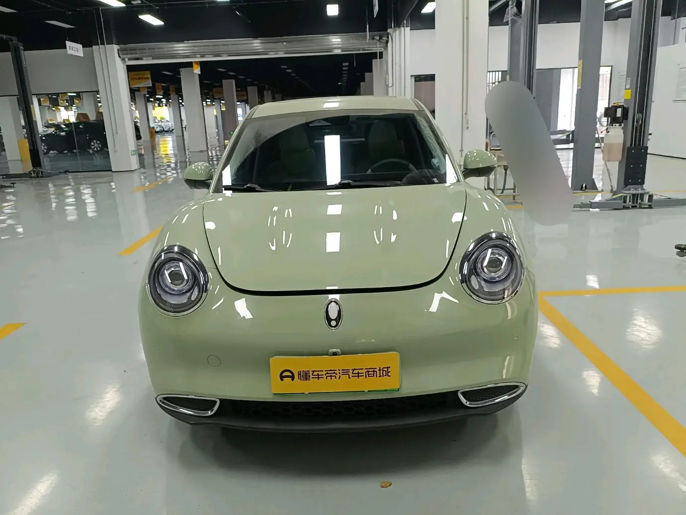 ORA Euler good cat  из Китая