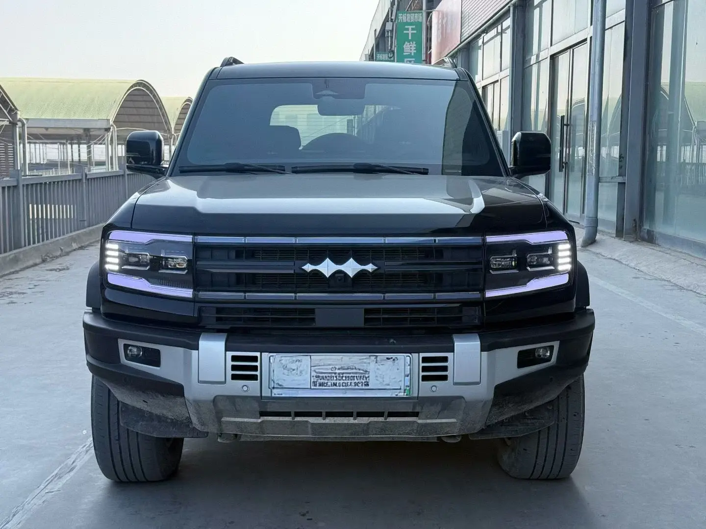 BYD Leopard Leopard 5  из Китая